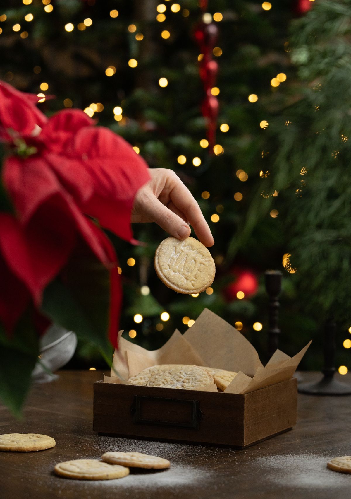 Biscuiți festivi cu nucă măcinată